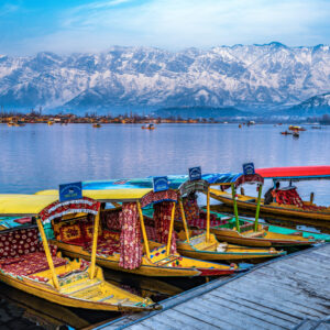 Romantic shikara ride on Dal Lake in Kashmir